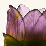 Candle Holder – Jardin de Lotus