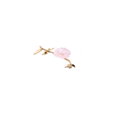 Pink Camellia Ornamental Flower