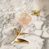 Pink Camellia Ornamental Flower