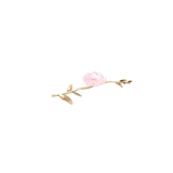 Pink Camellia Ornamental Flower