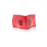 THE BOOK OF KISSING BY DOMINIQUE VIAL