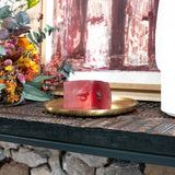 THE BOOK OF KISSING BY DOMINIQUE VIAL