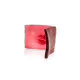 THE BOOK OF KISSING BY DOMINIQUE VIAL