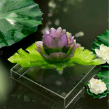 Candle Holder – Jardin de Lotus