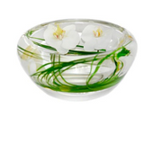 White Phalaenopsis Flower Bowl Small