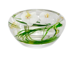 White Phalaenopsis Flower Bowl Small