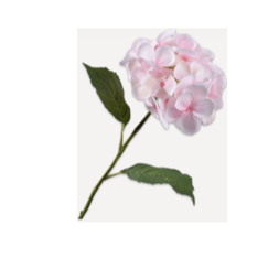 Hortensia Steel Roze Lt