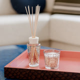 Gift Box Platinum My First Baobab
