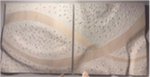 LACE COLLECTION: WALL PANEL