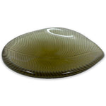 Desert Plants Champagne Bowl Cactus Amber Glass Bowl