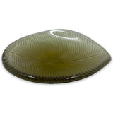 Desert Plants Champagne Bowl Cactus Amber Glass Bowl
