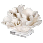CORAL SCULPTURE ON ACRYLIC BASE