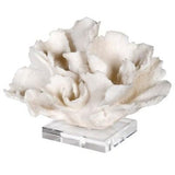 CORAL SCULPTURE ON ACRYLIC BASE