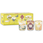 Trio Travel Candles My First Baobab Rio-Mexico-Miami