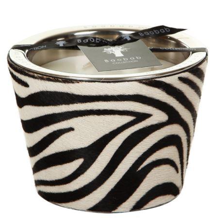 ZEBRINO JUNGLE SAFARI SCENTED CANDLE MAX 10