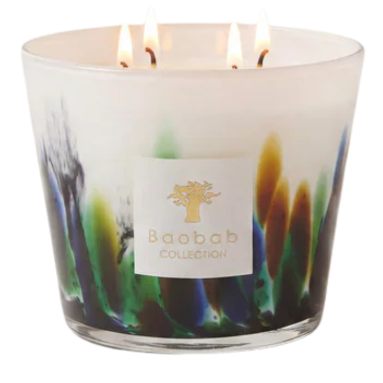 Max 10 Rainforest Amazonia