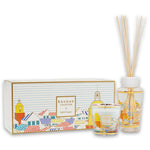 Gift Box My First Baobab A Saint-Tropez