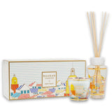 Gift Box My First Baobab A Saint-Tropez