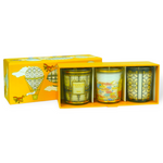 Trio Travel Candles My First Baobab Brussels-Roma-A Saint-Tropez - Tester