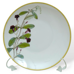 Jardin Indien Bread And Butter Plate
