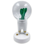 Domsai White With White/ Gold Socks - Bosa