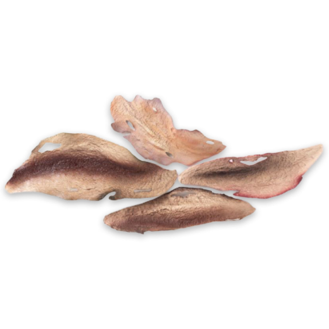1934/Brown "Terra" Sculpture Brown Tones Leaf 1 - Bosa