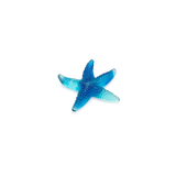 Mer De Corail - Starfish - Blue