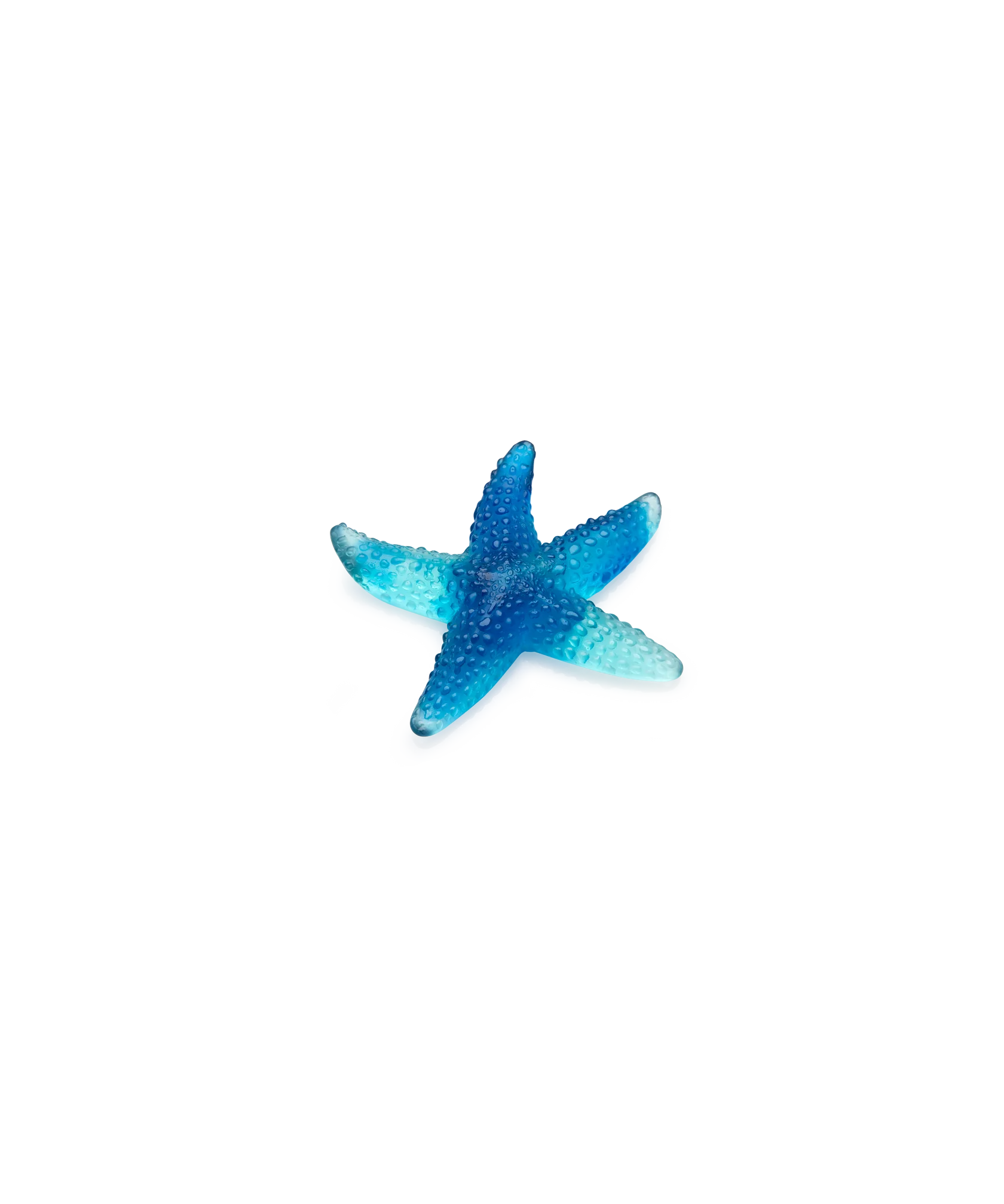 Mer De Corail - Starfish - Blue