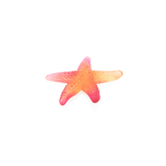 Mer De Corail - Starfish - Red