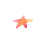 Mer De Corail - Starfish - Red