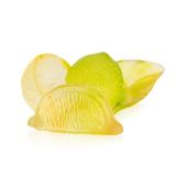 Citrus - Decorative Arrangement