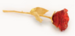 ETERNAL ROSE