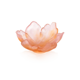 TULIP COUPE