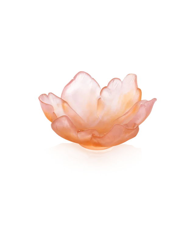 TULIP COUPE
