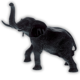 Black Elephant