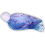Coral Sea Blue Pink Medium Sea Turtle