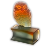 Owl On Ambergris Book