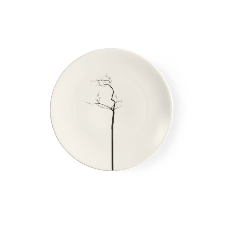 Salad/Dessert Plate