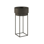 ACER PLANTER