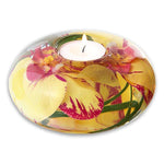 Yellow Fuchsia Phalaenopsis T Tight Medium