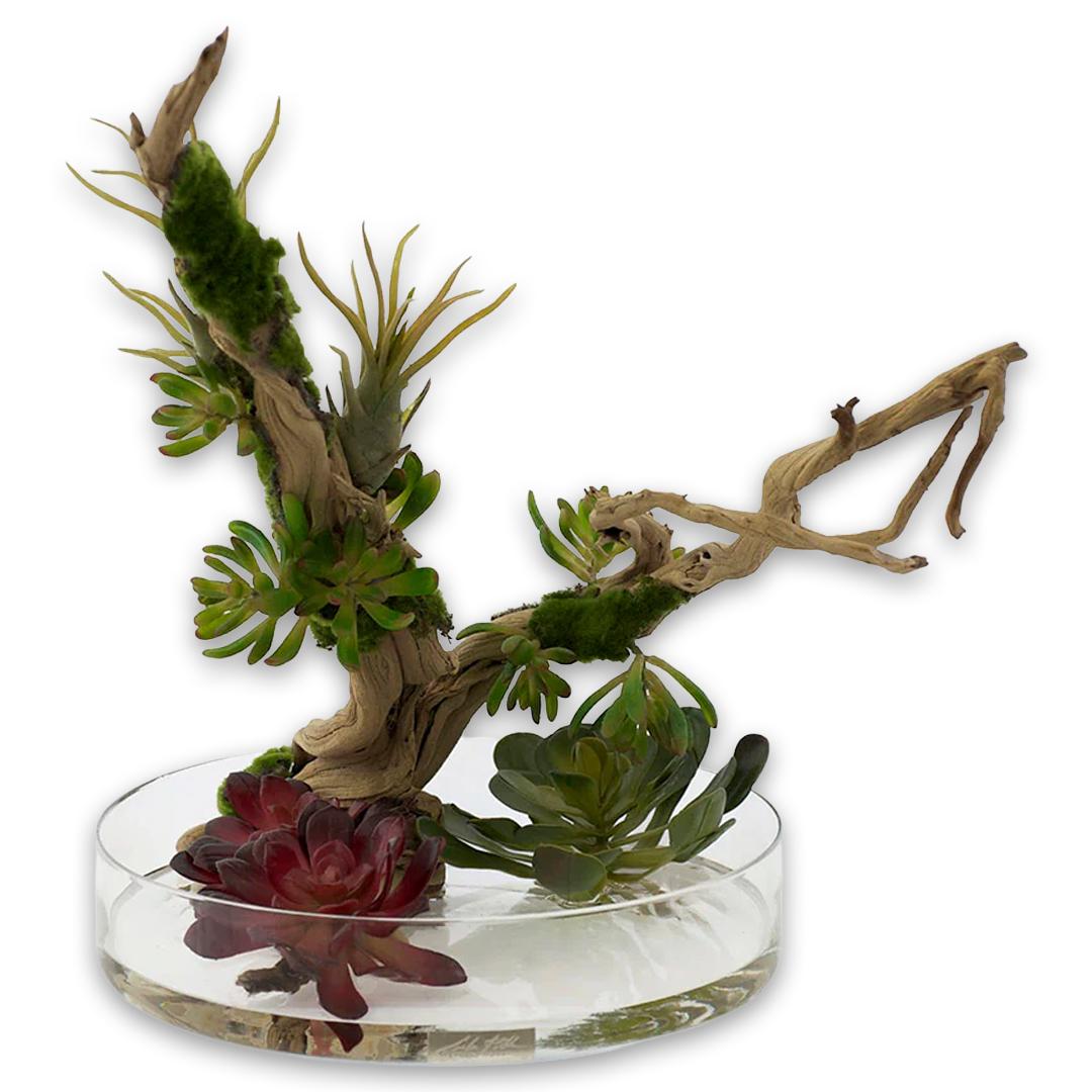 Succulent Garden & Wood 16 Heritage Bow