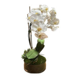Vase - Folium Folium Vase