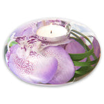 Lavender Spotted Phalaenopsis T Tight Disk
