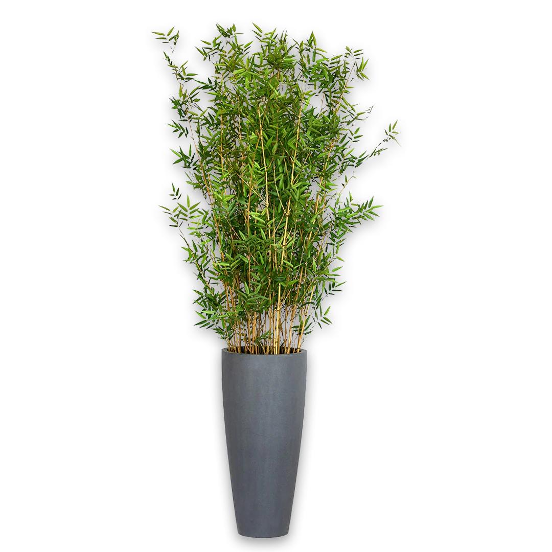 8227 Gr Bamboo Tree Ashton Vase 32H