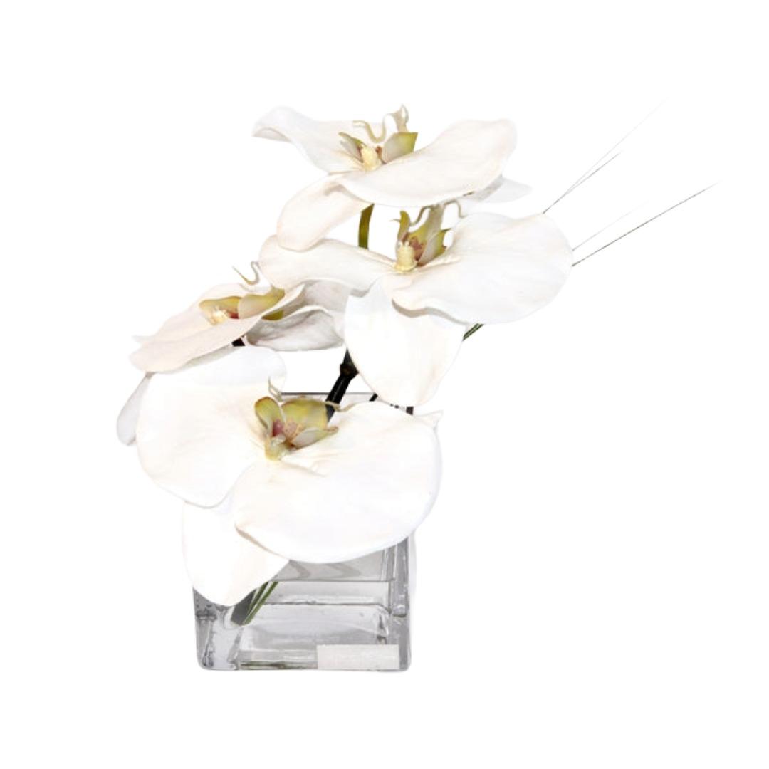 WHITE PHALAENOPSIS SQUARE VASE WITH GLASS