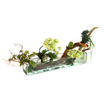 Green Phalaenopsis Orchid, Wood & Succulent Arrangement in 24" Plate Glass Planter