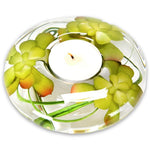 Succulent T Light Medium