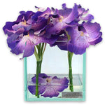 Purple Vanda Square Plate Glass Planter