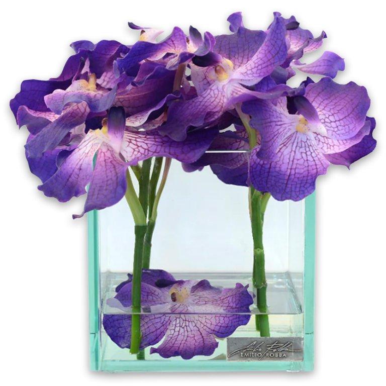 Purple Vanda Square Plate Glass Planter