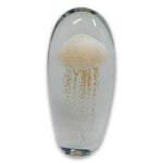 Sulfide Jellyfish S/2